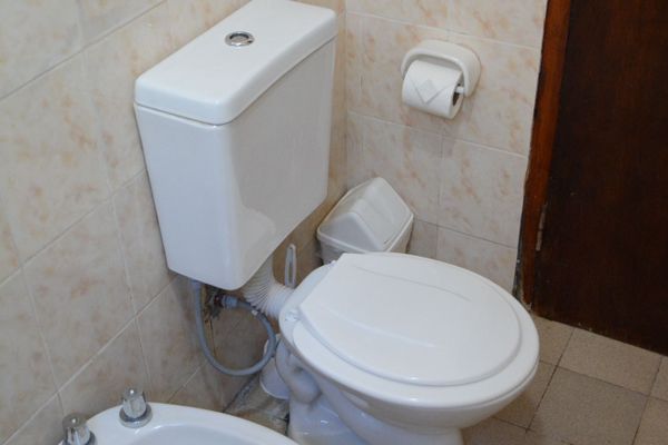 Eucaliptos - hasta 6 pax 