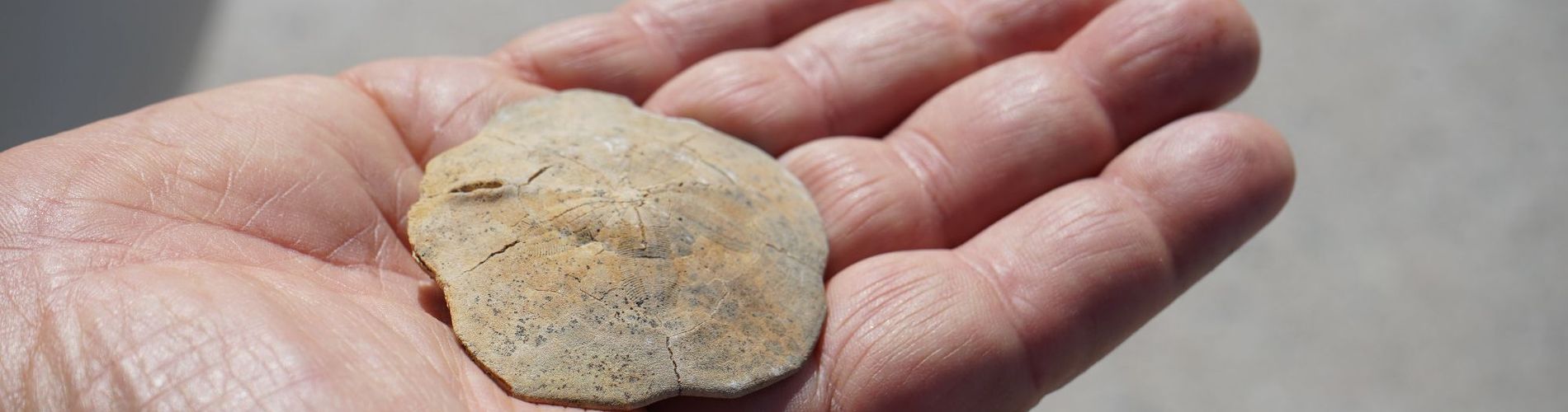 Las Restingas Hotel de Mar