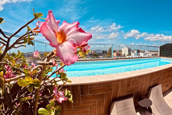 Roof Studio in Vanessa 24