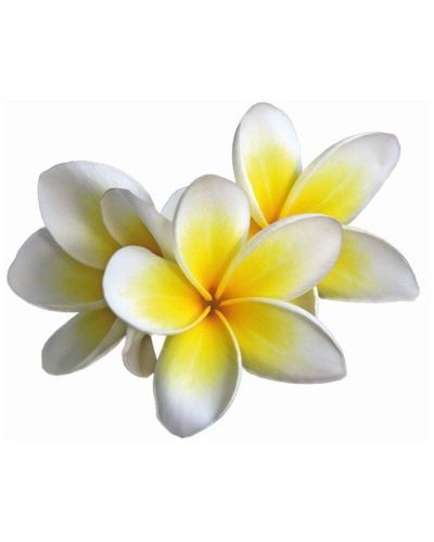 Sobre las fechas de tu reserva