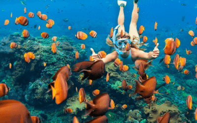 FaroColibri - Snorkeling